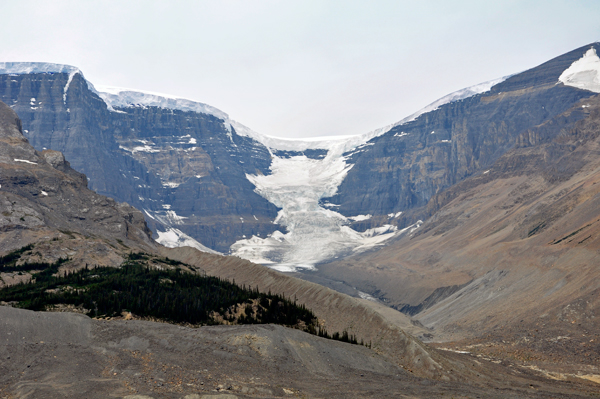 Athabasca Glacier